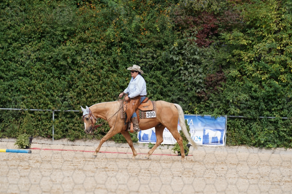 s_A9_01317.jpg
